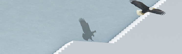 js33333金沙线路检测(中国游)有限公司官网